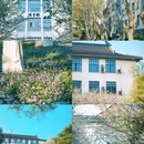 玄武湖景区-解放门 - 南京市旅游 缩略图 2