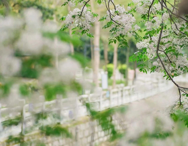 潘墩新城五区 - 福州市旅游 1
