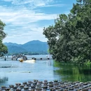 杭州西湖风景名胜区-集贤亭 - 杭州市旅游 缩略图 5