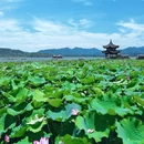 杭州西湖风景名胜区-集贤亭 - 杭州市旅游 缩略图 2