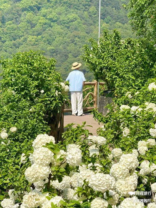 铜锣花谷生态园 - 重庆旅游