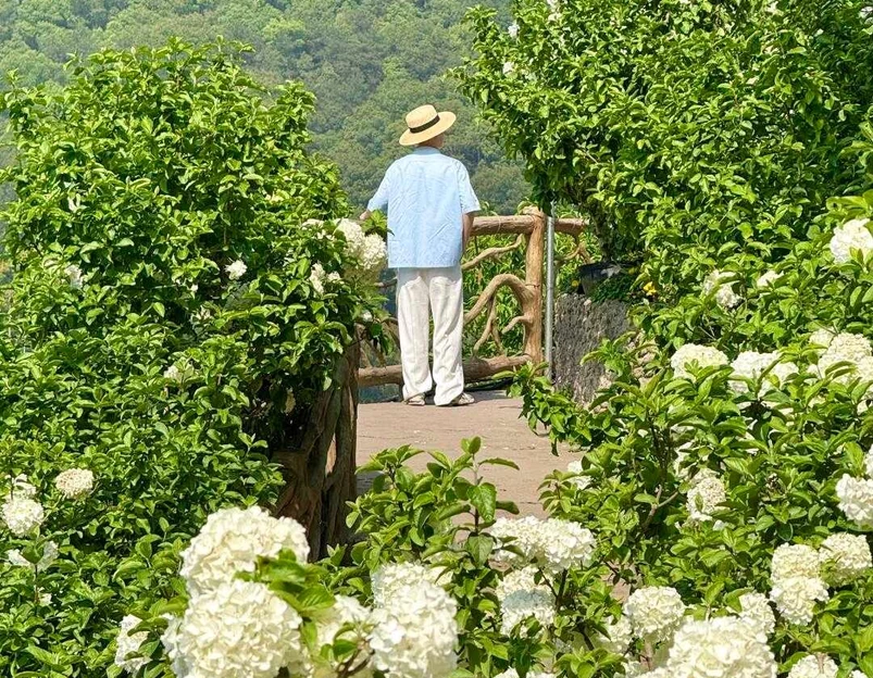 铜锣花谷生态园 - 重庆旅游 1