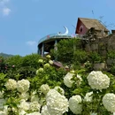 铜锣花谷生态园 - 重庆旅游 缩略图 5