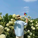 铜锣花谷生态园 - 重庆旅游 缩略图 3