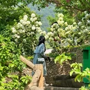 铜锣花谷生态园 - 重庆旅游 缩略图 9
