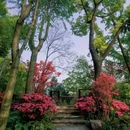 辅德里公园 - 上海市旅游 缩略图 6