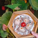 海粤荟·粤宴名菜海鲜茶楼(知识城店) - 广州市旅游 缩略图 3