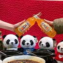 苏州中国花卉植物园 - 苏州市旅游 缩略图 8