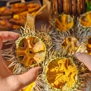 星龙吟·日料放题(珠江新城店) - 广州市旅游 缩略图 3