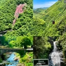 衢州孔庙悦府酒店 - 衢州市旅游 缩略图 4