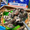 全球岛全球直采海鲜自助 - 上海市旅游 缩略图 3