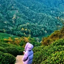 上海城隍庙 - 上海市旅游 缩略图 3
