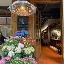 野松子·杂食店 - 南宁市旅游 缩略图 2