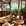 南宁市·野松子·杂食店