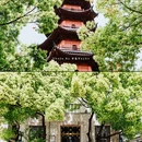 宁波鼓楼 - 宁波市旅游 缩略图 8