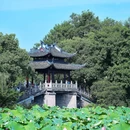 杭州西湖风景名胜区-曲院风荷 - 杭州市旅游 缩略图 3