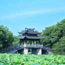 杭州西湖风景名胜区-曲院风荷 - 杭州市旅游 缩略图 1