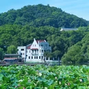杭州西湖风景名胜区-曲院风荷 - 杭州市旅游 缩略图 5