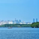 杭州西湖风景名胜区-曲院风荷 - 杭州市旅游 缩略图 6