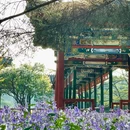 天坛公园 - 北京旅游 缩略图 4