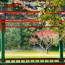 天坛公园 - 北京旅游 缩略图 9