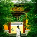杭州西湖风景名胜区-曲院风荷 - 杭州市旅游 缩略图 2