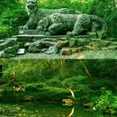杭州西湖风景名胜区-曲院风荷 - 杭州市旅游 缩略图 5
