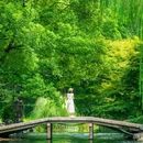杭州西湖风景名胜区-曲院风荷 - 杭州市旅游 缩略图 3