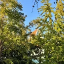 La Mansarde五号老洋房 - 青岛旅游 缩略图 5