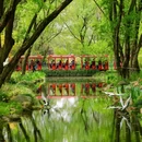 共青公园 - 上海市旅游 缩略图 4