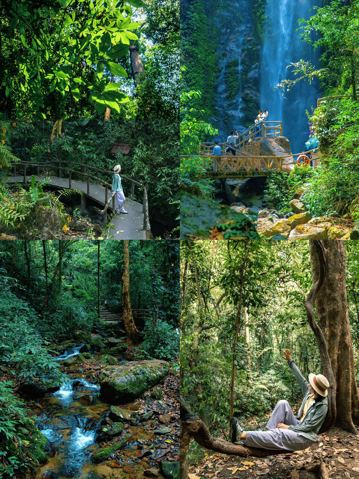 瑞丽莫里热带雨林景区 - 德宏傣族景颇族自治州旅游