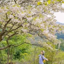 茶儿岩 - 成都市旅游 缩略图 8