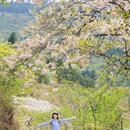 茶儿岩 - 成都市旅游 缩略图 6