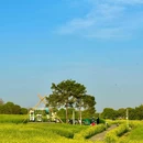 南京高淳国际慢城 - 南京市旅游 缩略图 7