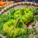 芸山季·云南野生菌火锅(珠海环宇城店) - 珠海市旅游 缩略图 2