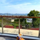 东钱湖风景名胜区 - 宁波市旅游 缩略图 3