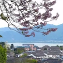 东钱湖风景名胜区 - 宁波市旅游 缩略图 2