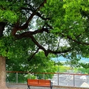 东钱湖风景名胜区 - 宁波市旅游 缩略图 1