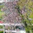 东钱湖风景名胜区 - 宁波市旅游 缩略图 6