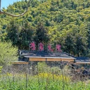 李家大院·安吉地方菜(天荒坪余村店) - 湖州市旅游 缩略图 9
