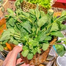 犇牛阁酸汤牛肉火锅(三里屯店) - 北京市旅游 缩略图 5