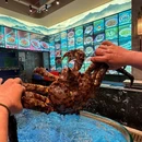 揽月本港海鲜 - 福州市旅游 缩略图 9