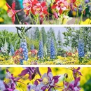 上海辰山植物园 - 上海市旅游 缩略图 6