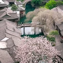 濮院时尚古镇 - 嘉兴市旅游 缩略图 1