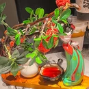 遇见长安·西安名菜名小吃(万象天地店) - 深圳市旅游 缩略图 7