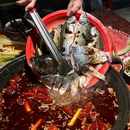 阳光苑 - 重庆旅游 缩略图 5
