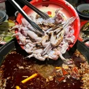 阳光苑 - 重庆旅游 缩略图 1