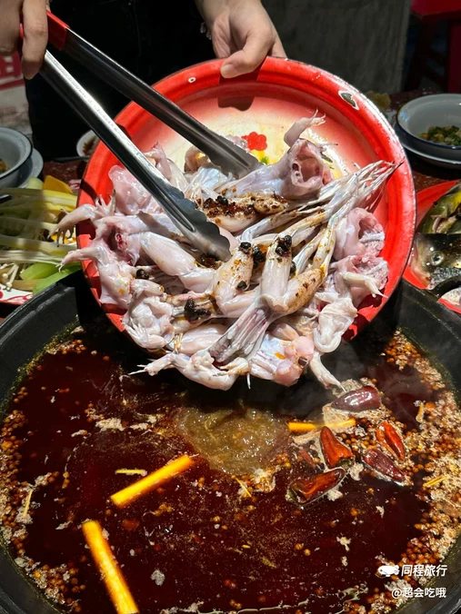 阳光苑 - 重庆旅游