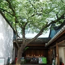 三坊七巷 - 福州市旅游 缩略图 3