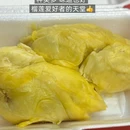 新加坡 - 其他旅游 缩略图 3